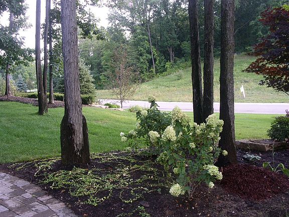 over $50,000 in landscaping