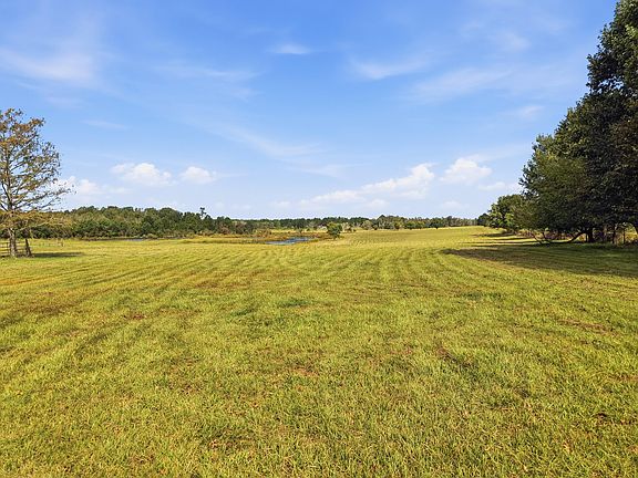 4th image of Smyrna Rd