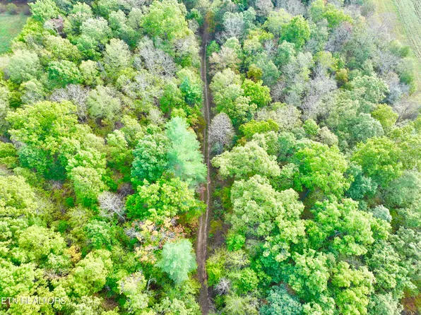 0 Wentland Dr, Deer Lodge, TN 37726