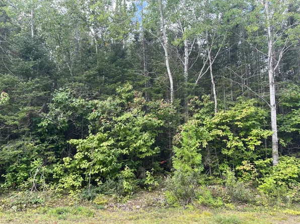 256 Bay Shore Dr, Presque Isle, MI 49777