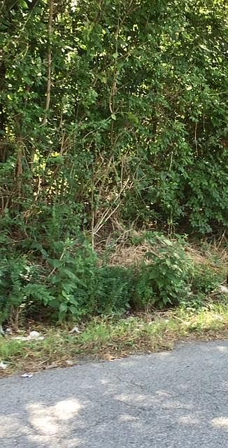 2nd image of 3914 Webb Rd