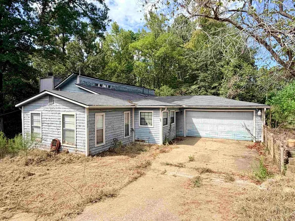 11007 State Highway 154 E, Diana, TX 75640
