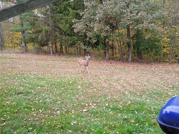 4th image of 61000 Bolar Rd