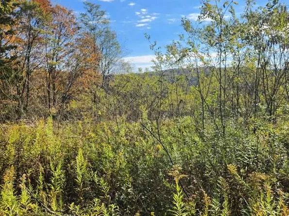 Lots C1 C4 Natures Symphony Rd, Imler, PA 16655