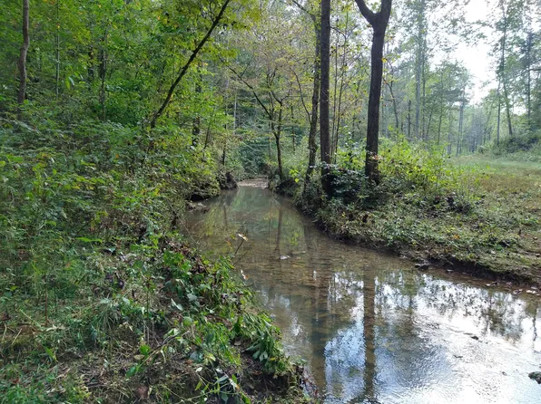 7500 Antioch Rd, Smithville, TN 37166