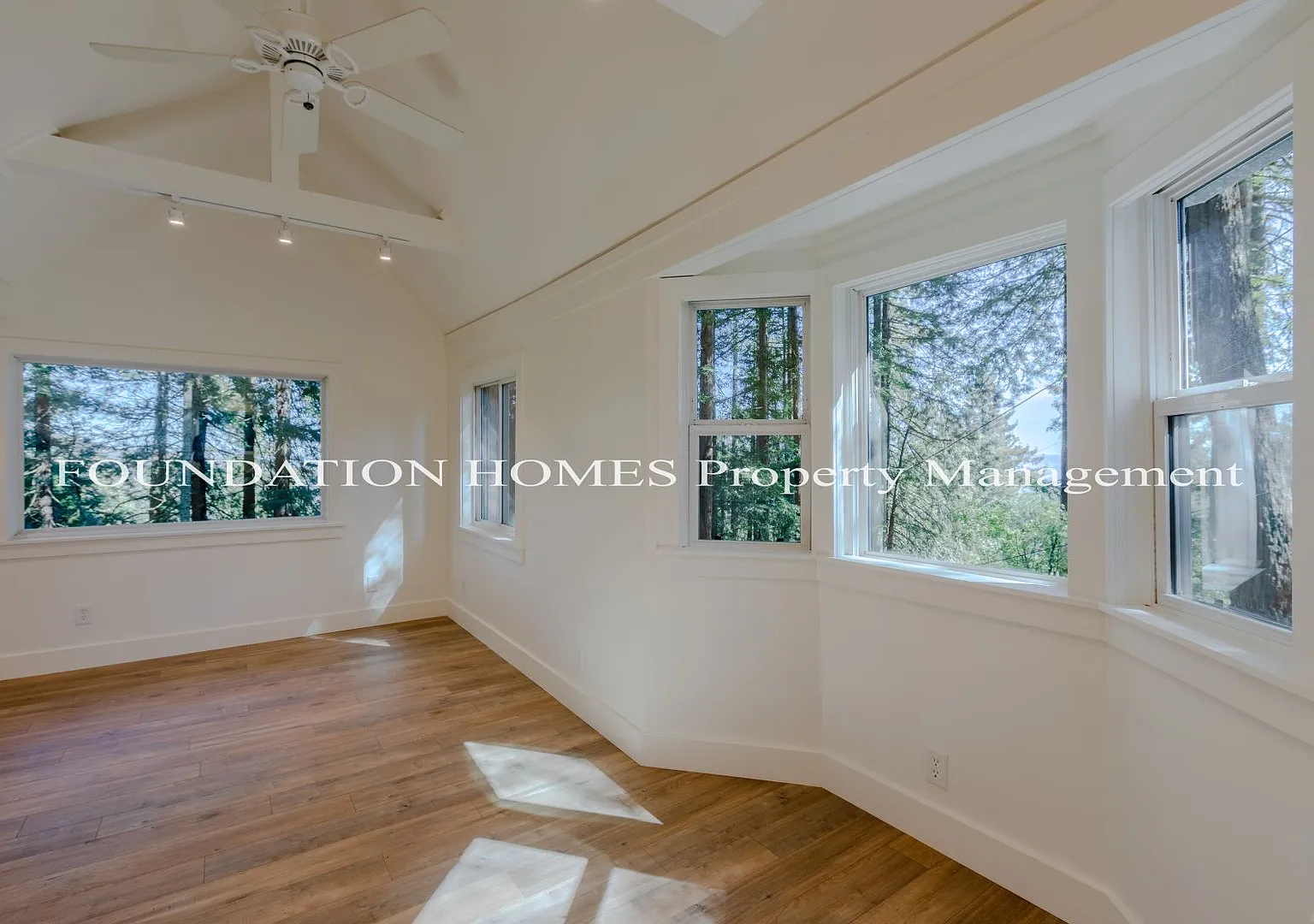Modern, Light & Bright Remodeled Cabin Home Amongst The Redwoods- Hiking- Foundation- — Photo 4