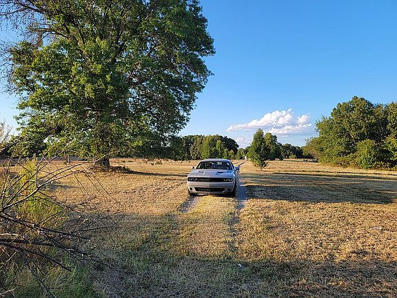 View from the front porch 