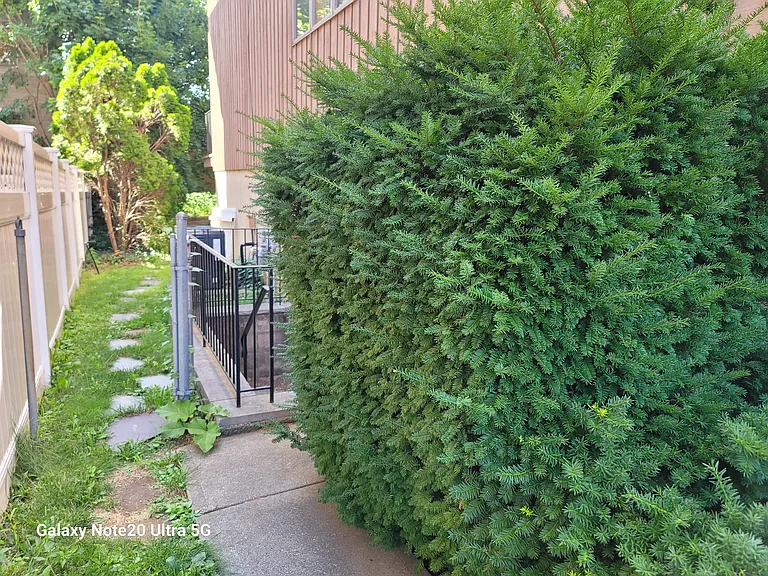 1643 Maple St #1643 — Photo 28