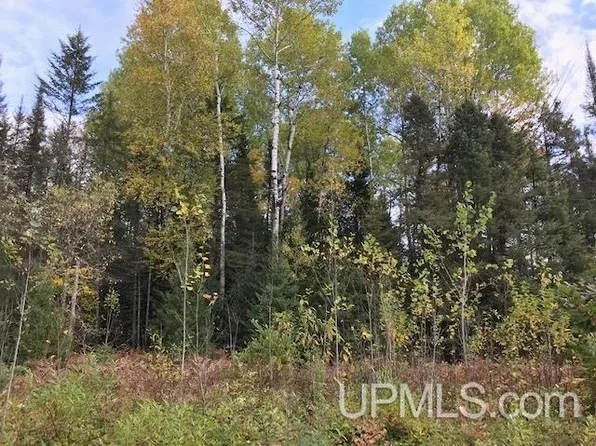 Ross Lake Rd, Argonne, WI 54511