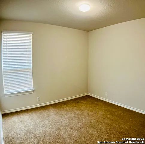 8732 Riddles Peak — Photo 13