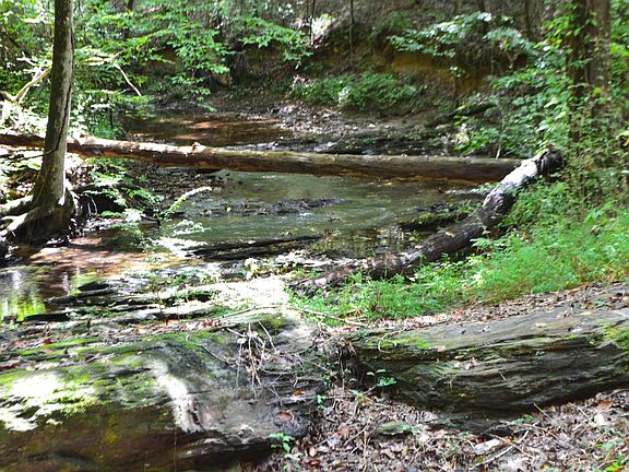 4th image of 1002 Cheaha Rd