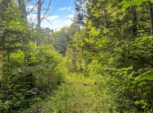 91 Dam Rd, Chittenden, VT 05737