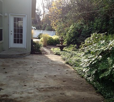 Back yard_11272012