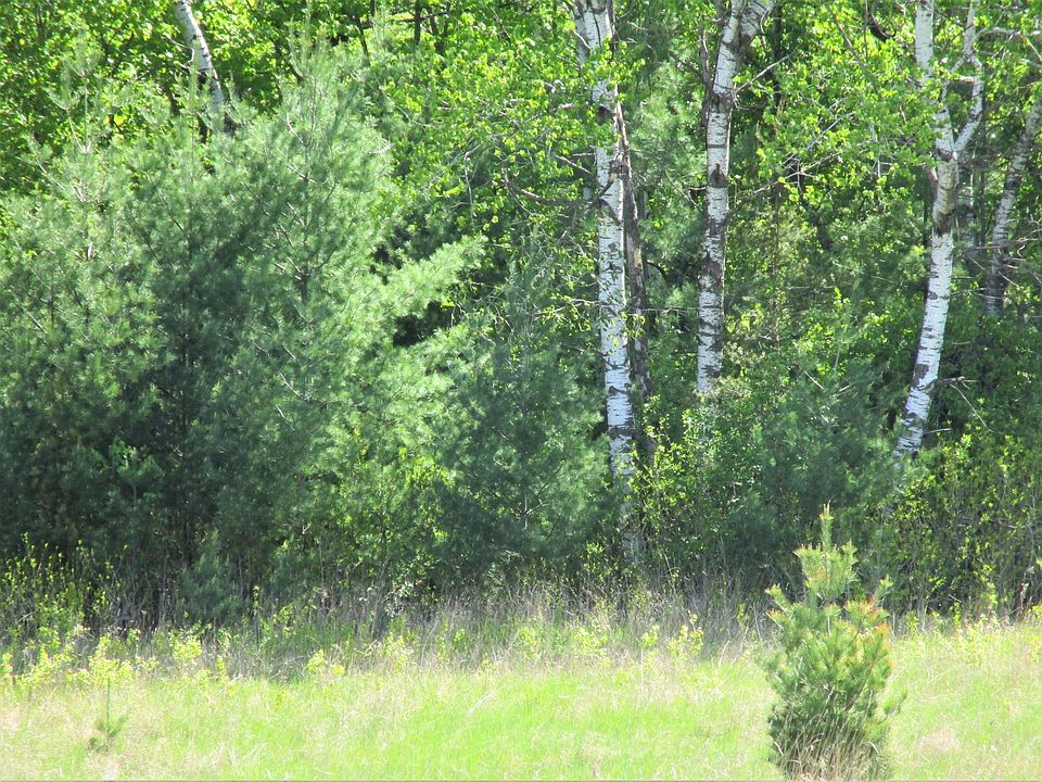 2nd image of LOT 2 85th St