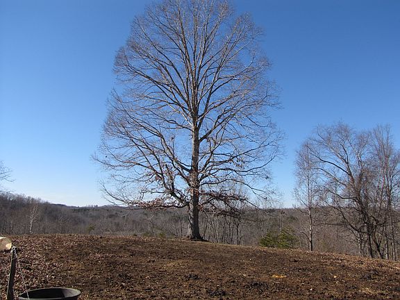 3rd image of Tbd Sands Road