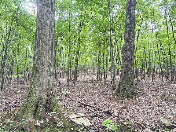 3rd image of Wp001 Blue Mountain Pkwy