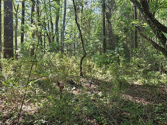 4th image of 416 Sandy Ridge Road LOT 4