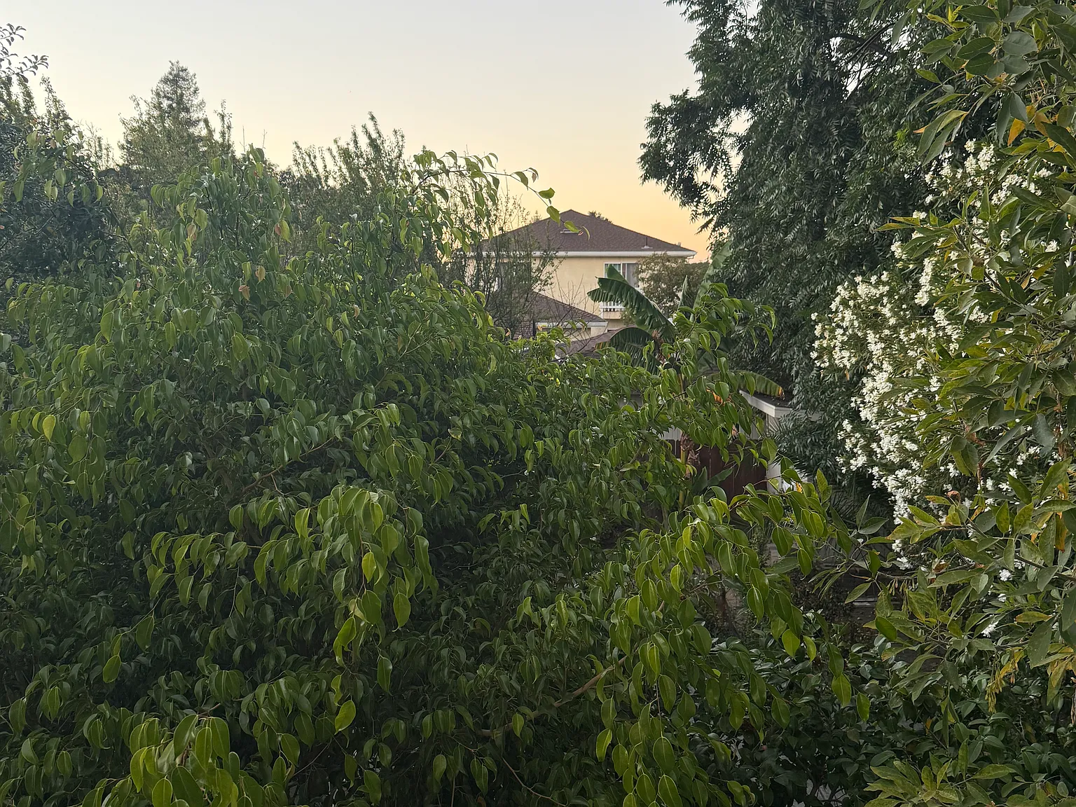Glen Way, East Palo Alto — Photo 1