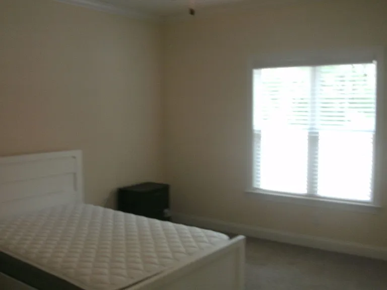 3809 Savannah Way — Photo 7