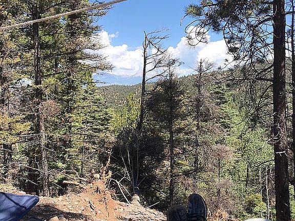 4th image of 243 Sangre De Christo Rnch #2-5283N