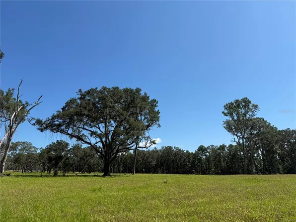 Do 6 24ac NW #193, Micanopy, FL 32667