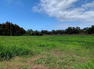 Honomakau Rd LOT 4-A, Hawi, HI 96719