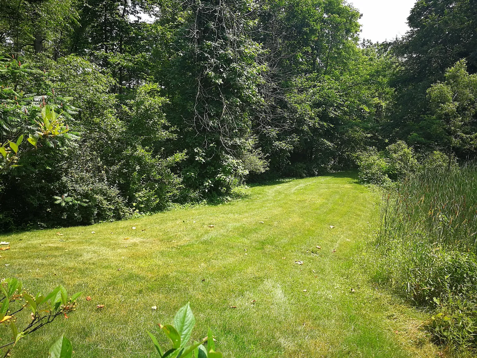 2 bed, 1.5 bath, 1472 sqft, $1,995 — Photo 3