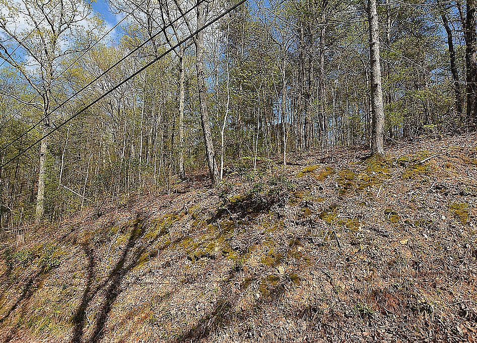 1st image of 194195 Ski View Ln