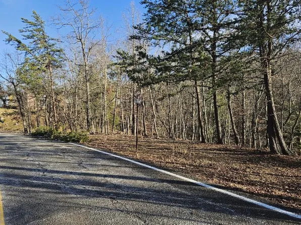 Hermosa Dr, Pulaski, VA 24301
