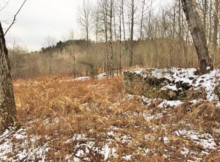 0 Lutheranville Rd, Summit, NY 12175