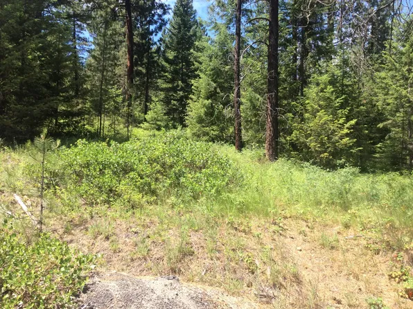 Nka Blanchard Elk Rd, Blanchard, ID 83804