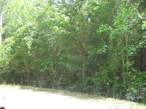 2nd image of West Harbor Ln