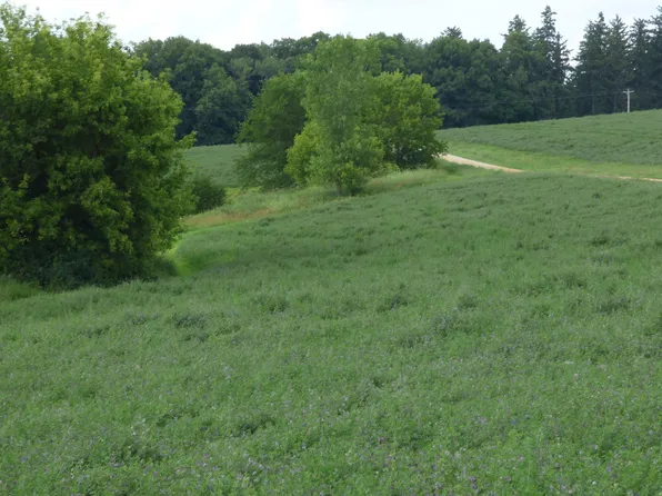 W Council Hill Rd, Galena, IL 61036