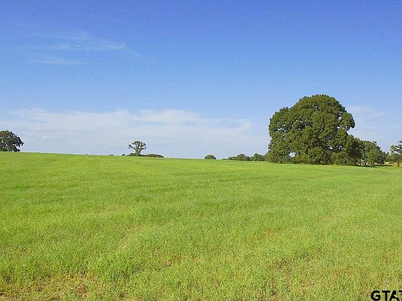 3rd image of 1999 County Road 3605