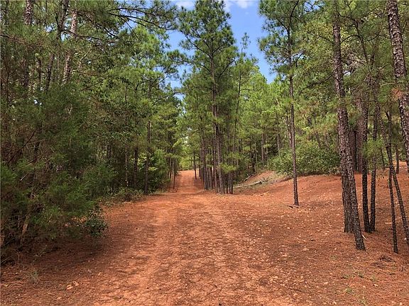 2nd image of Majestic Pine Dr
