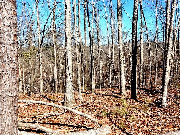 5th image of 9815 Choctaw Landing Rd