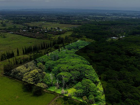 2nd image of Enos Rd