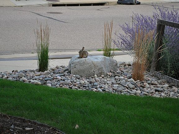 3rd image of 500 Orchard Dr