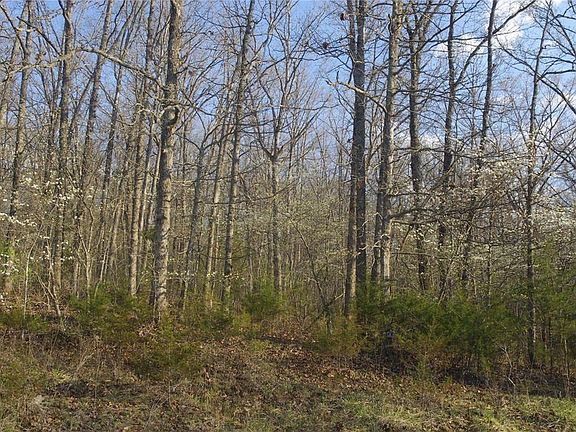 4th image of 45 Anthonies Mill Est