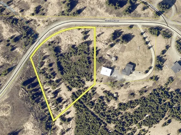 49105 Morrison Dr, Homer, AK 99603
