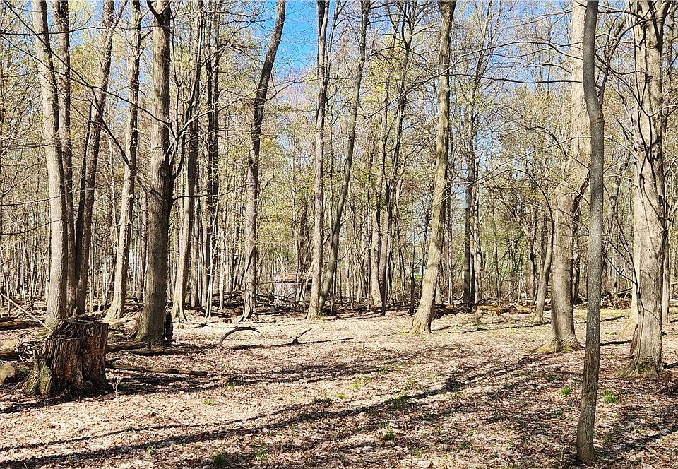 1st image of Straub Rd Lot 14