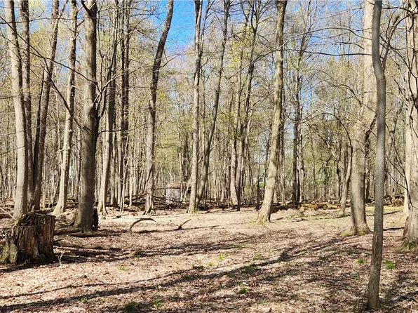 Straub Rd Lot 14, Rochester, NY 14626
