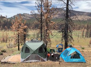 2225 Mule Ear Rd, Portola, CA 96122