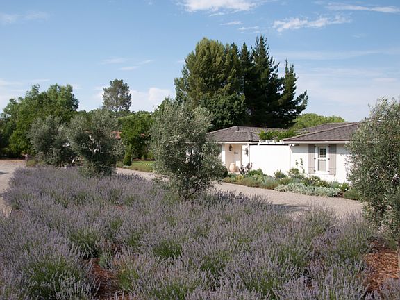 3rd image of 2944 Gaviota St