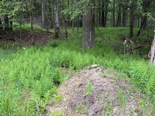 Creamery Road, Bethel, NY 12701
