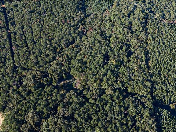 5th image of 1213 Gary Springs Loop