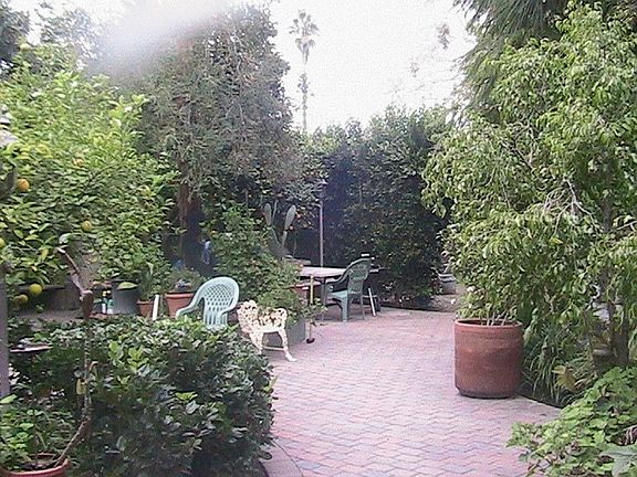 back patio