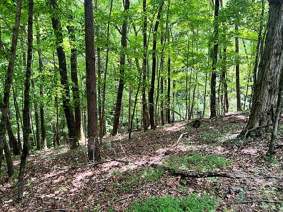 5th image of Ltg67 68 Mountain Oak Rd
