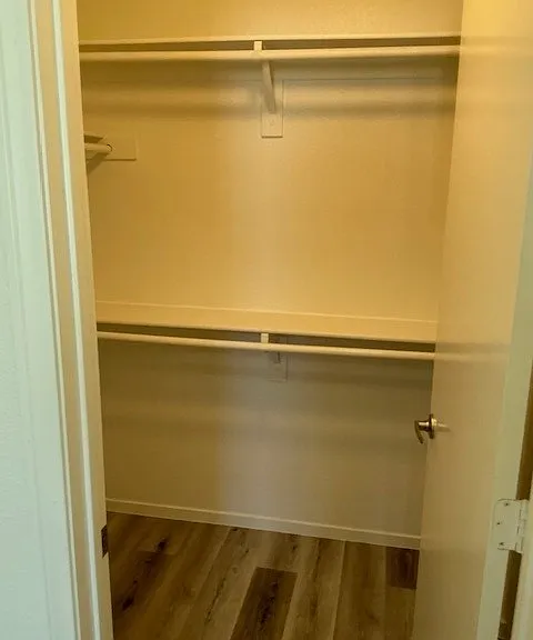 5440 Cactus Thorn Ave #0 — Photo 15