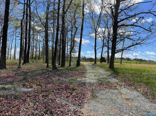 16257 State Highway 71, Pisgah, AL 35765